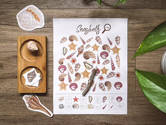 Seashells activity pack - Image 4